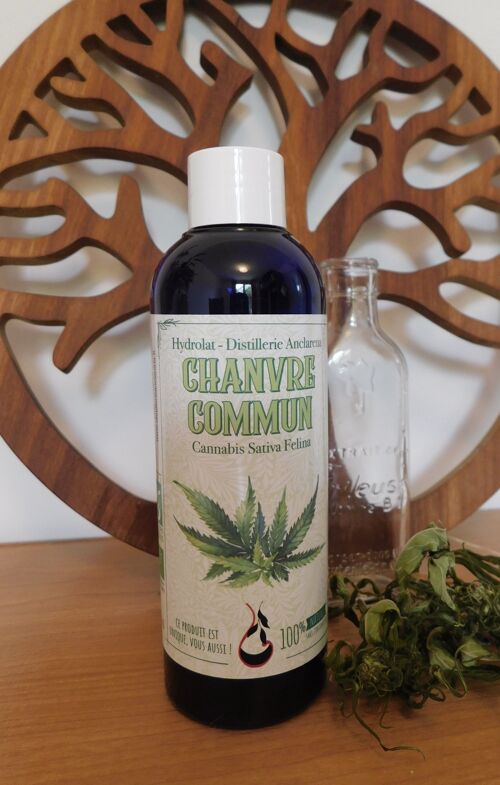 Hydrolat de Chanvre commun bio