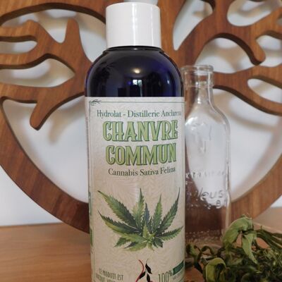 Organic Common Hemp Hydrosol