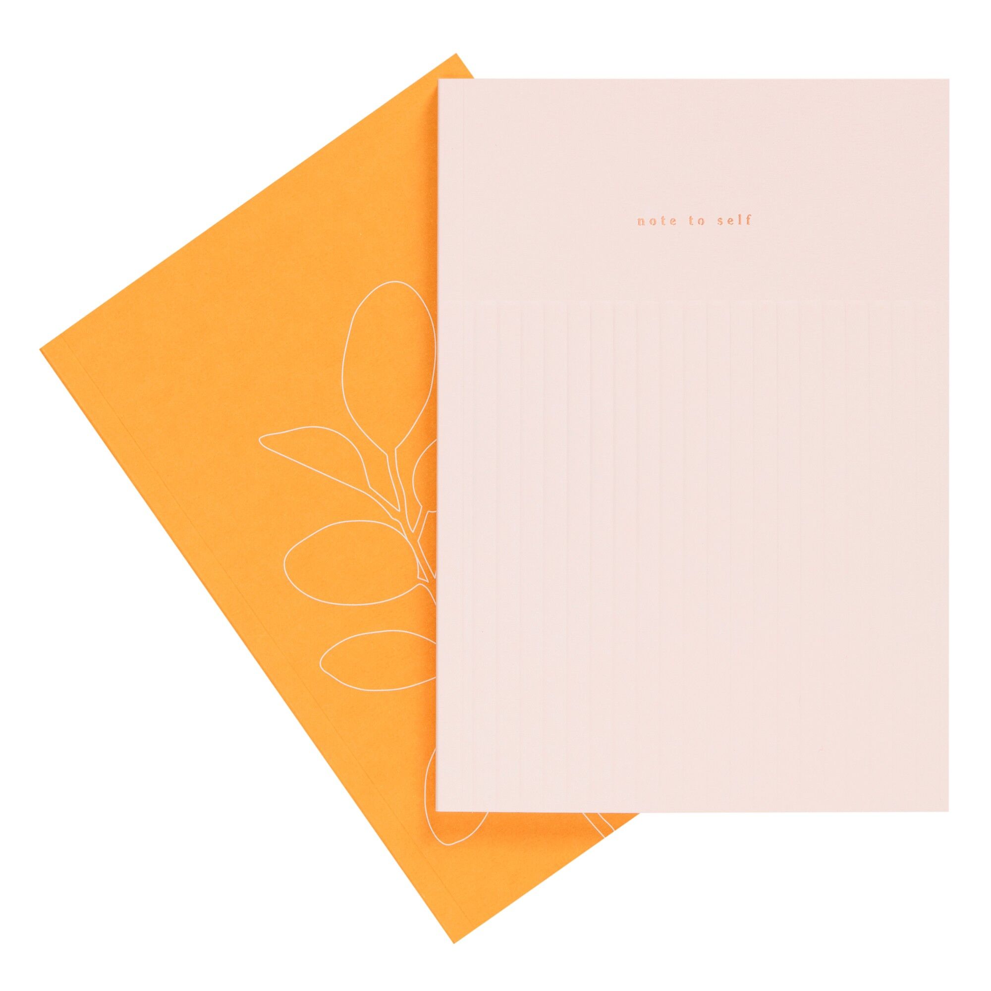 A5 notebooks 2pk multi: self