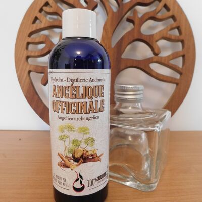 Hydrolat d'Angélique officinale (racines) bio