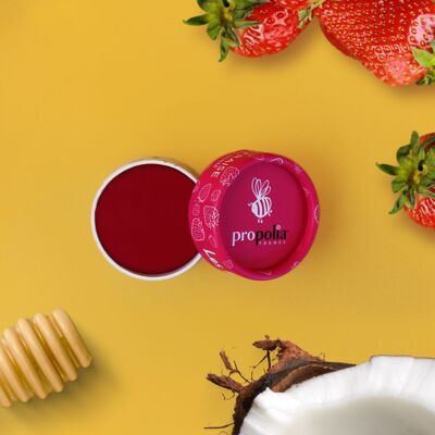 Organic Tinted Lip Balm - Honey, Beeswax & Shea - Repairs and Nourishes - 100% Natural