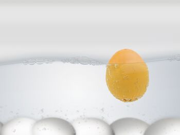 Affichez l'œuf du bip du matin / 18 pièces / sablier intelligent 4