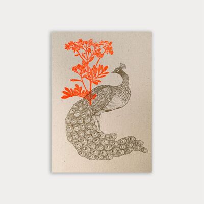 Pfau mit Blume / Postkarte / Pflanzenfarbe / Ökopapier