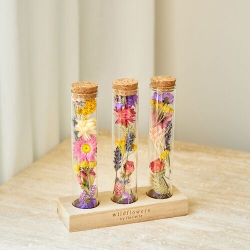 Wish Bottle Dried Flowers - Multi