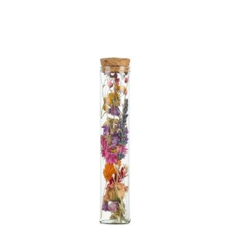 Fleurs séchées en bouteille Wish - Multi 2