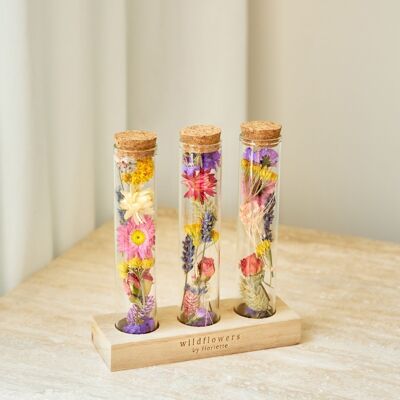 Mothers Day Gifts - Wish Bottle Dried Flowers - Multi