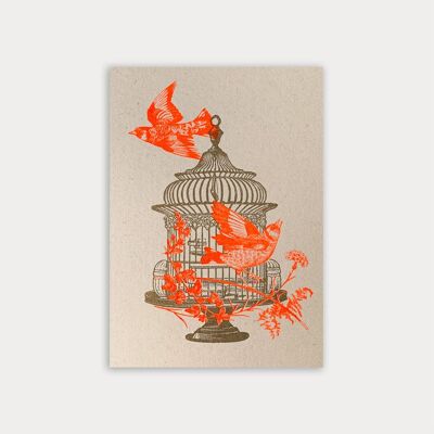 Carte postale / cage à oiseaux / teinture végétale / papier écologique