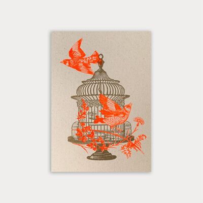 Postcard / birdcage / vegetable dye / eco paper