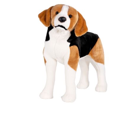 beagle dog plush gm 53cm