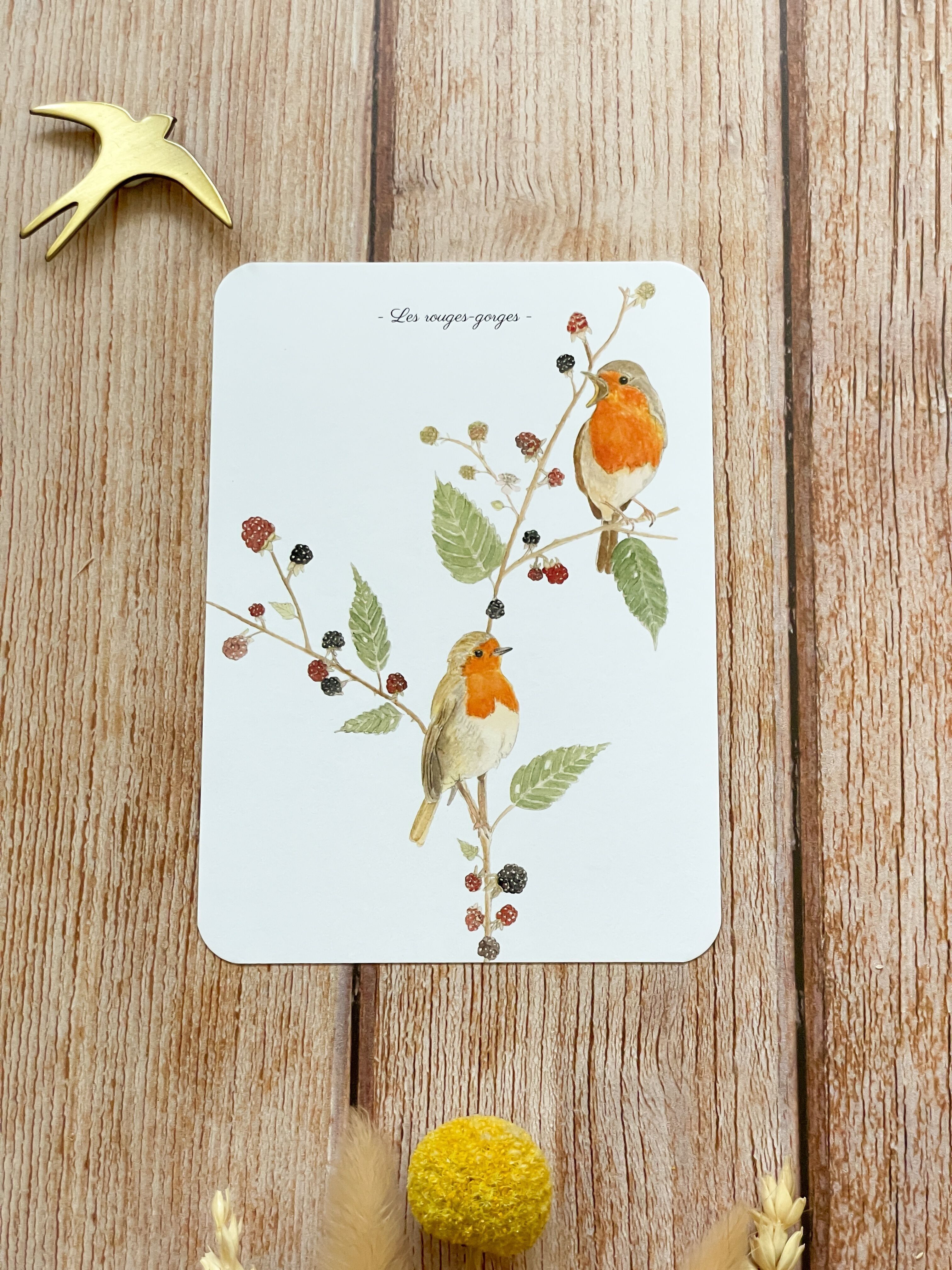 cartolina con pettirossi - con busta