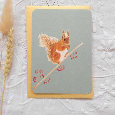 cartolina di scoiattolo e bacche