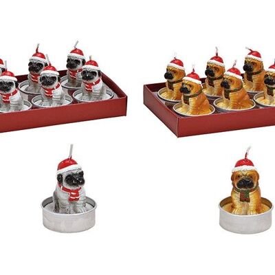 Tealight set dog with Christmas hat 4x5x4cm made of wax multicolored set of 6
