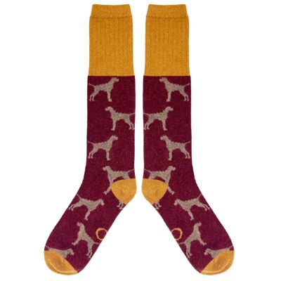 Men's Lambswool Boot Socks - Dogs - Red
