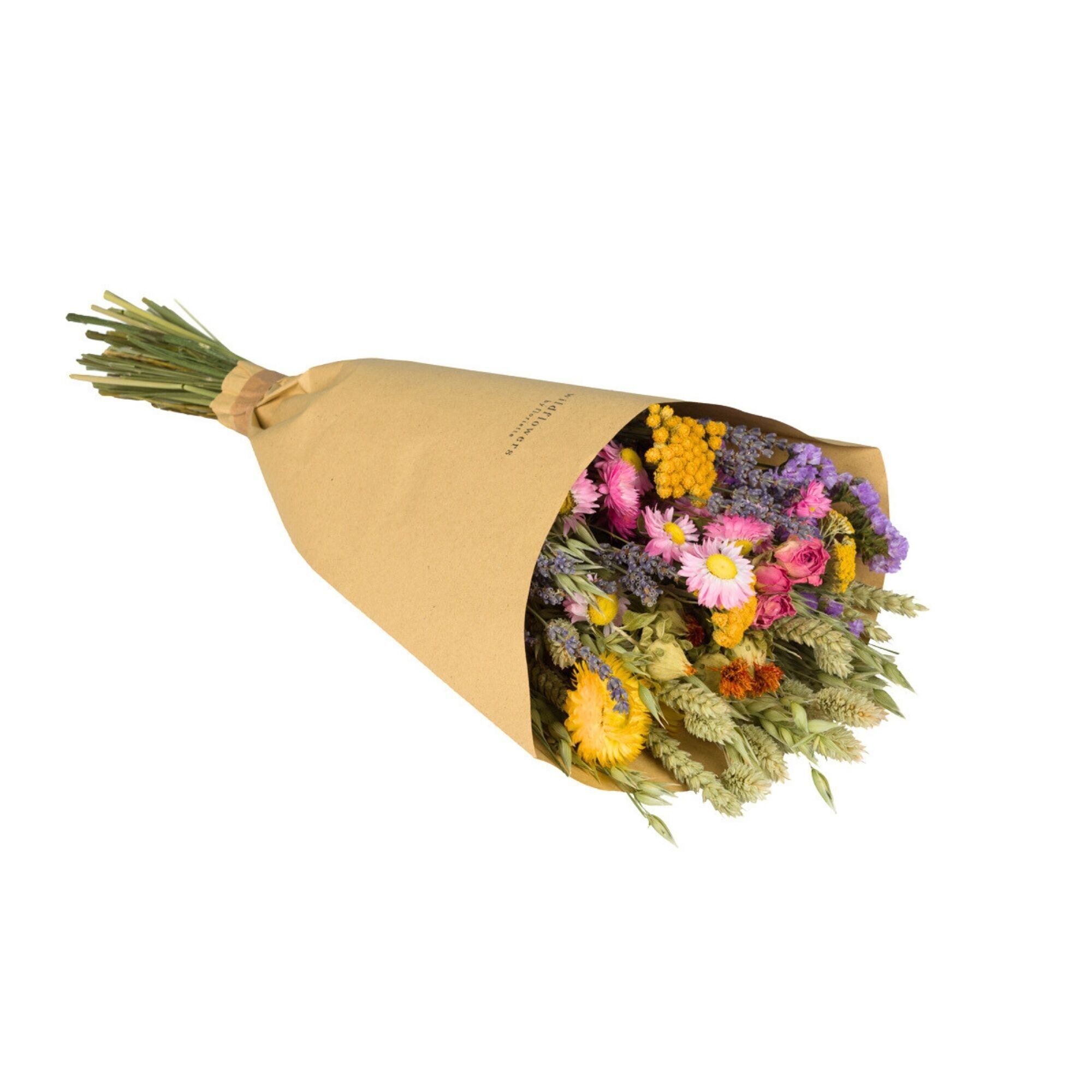 Dried Flowers - Field Bouquet - Multi