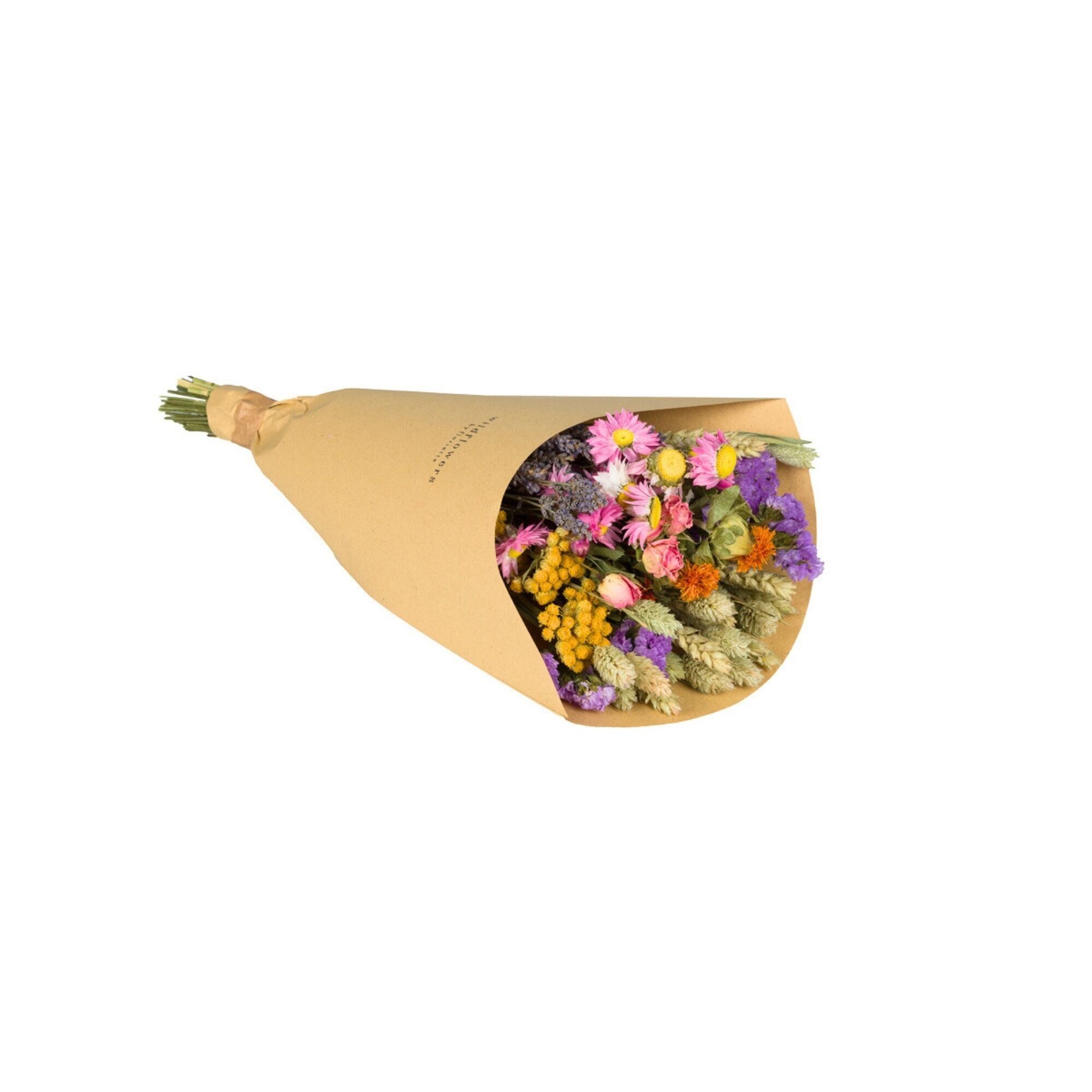 Dried Flowers - Field Bouquet - Multi