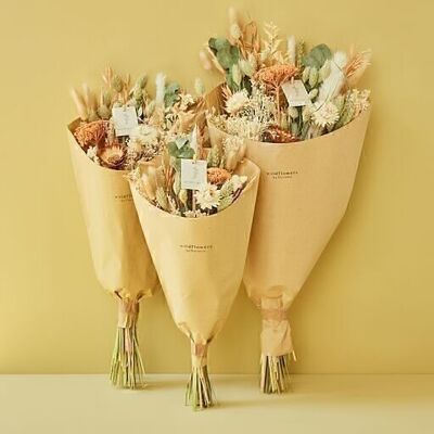 Spring 2024 - Dried Flowers - Field Bouquet - Apricot
