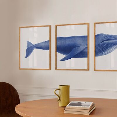 Graphic and vintage poster · Blue whale