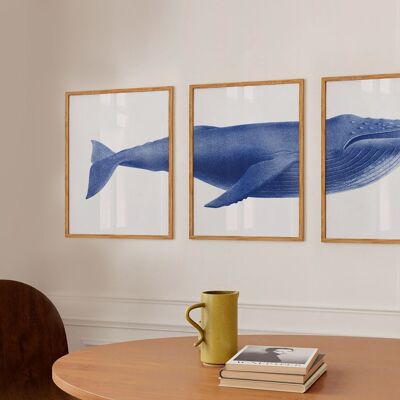 Ballena Azul | Cartel gráfico y vintage.