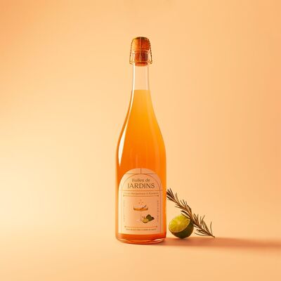Sparkling alcohol-free Bergamot & Rosemary - 75 cL - ORGANIC and low sugar