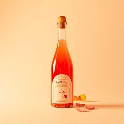 Sparkling alcohol-free Rose & Ginger - 75 cL - ORGANIC and low sugar