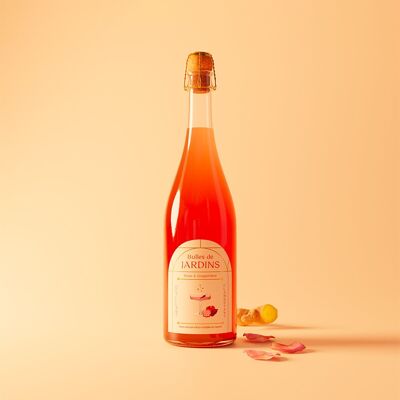 Frizzante Rosa & Zenzero analcolico - 75 cL - BIOLOGICO e a basso contenuto di zuccheri