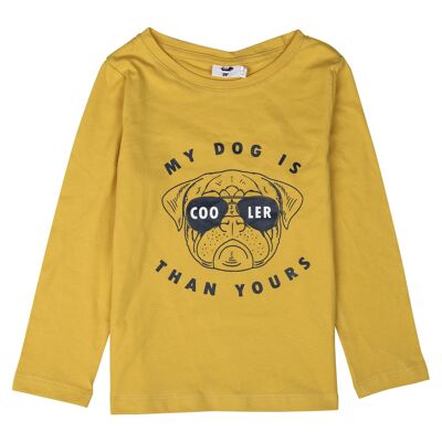 boys' cotton t-shirt, 1-14 years old, long sleeves