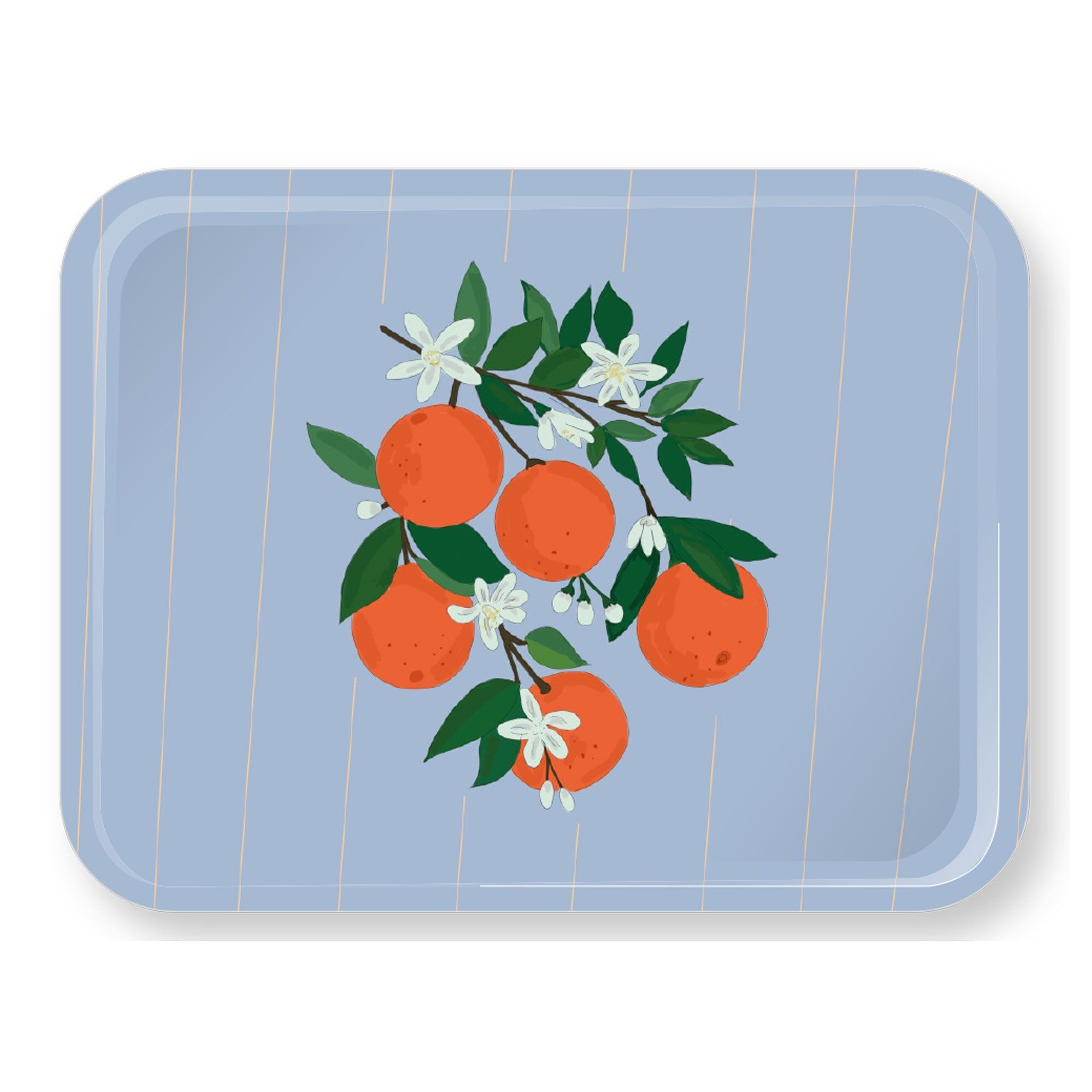 Oranges | Tray