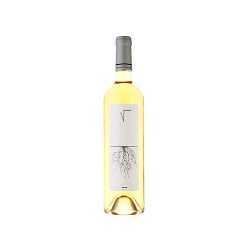Racines White 2018 | Weißwein aus dem Libanon 0,75L