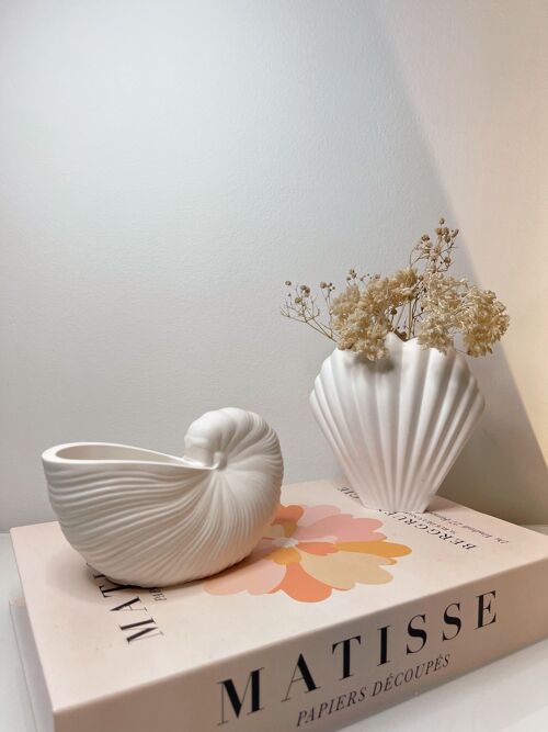 Vase décoratif Coquillage escargot