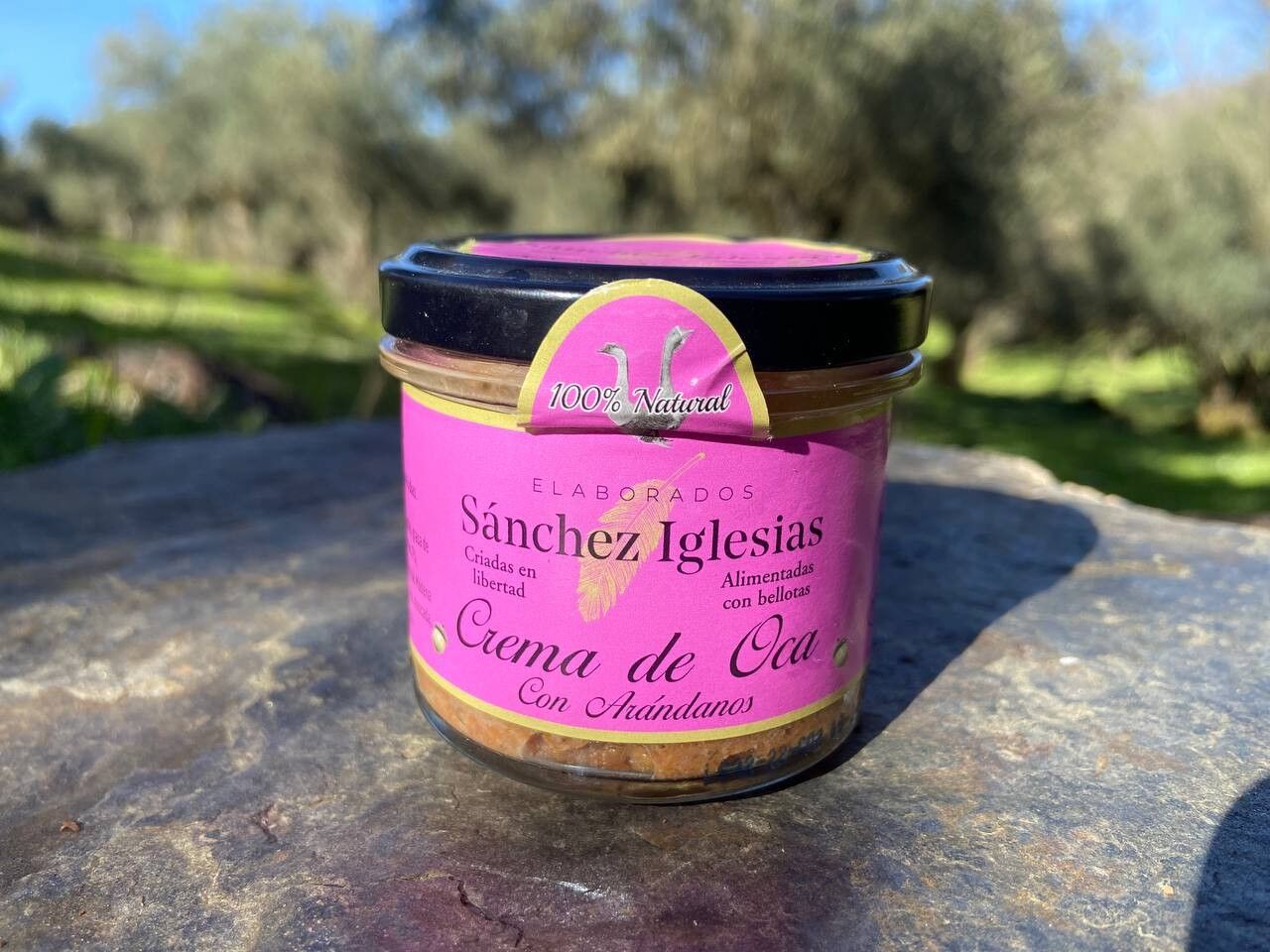 Gänsecreme mit Blaubeeren