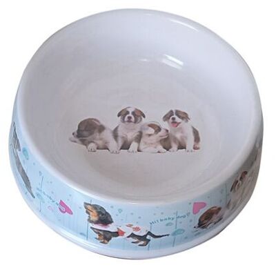 Pet food bowl. Available in 3 designs. Dimension: 29x8cm SP-218