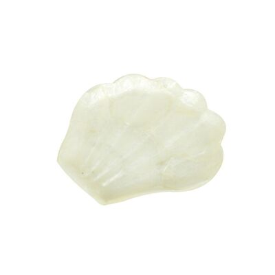 Soap Dish - Shell Shape - White Natural - The Sea Shell Plate – Hippie Monkey