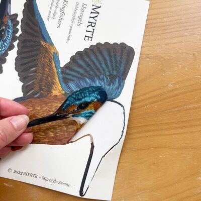 Kingfisher Double-sided Window Sticker