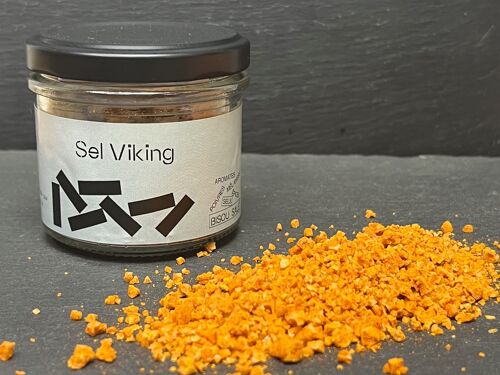 Sel des Vikings