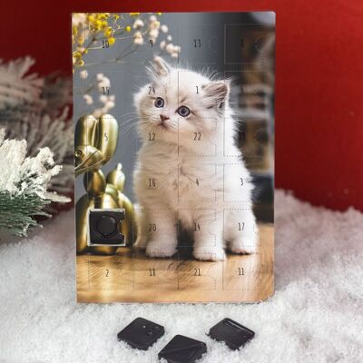 White Kitten Advent Calendar