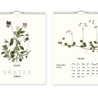 Calendario de pared Plantas 2024