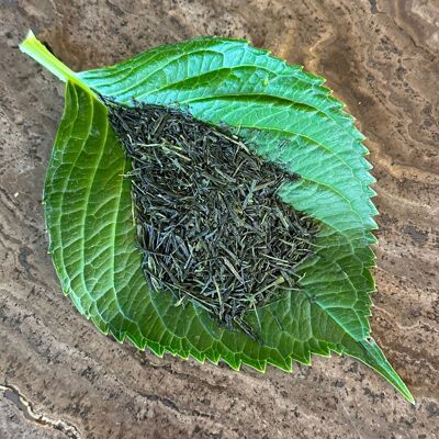 Sencha Kaori Bio-Grüntee 50 gr