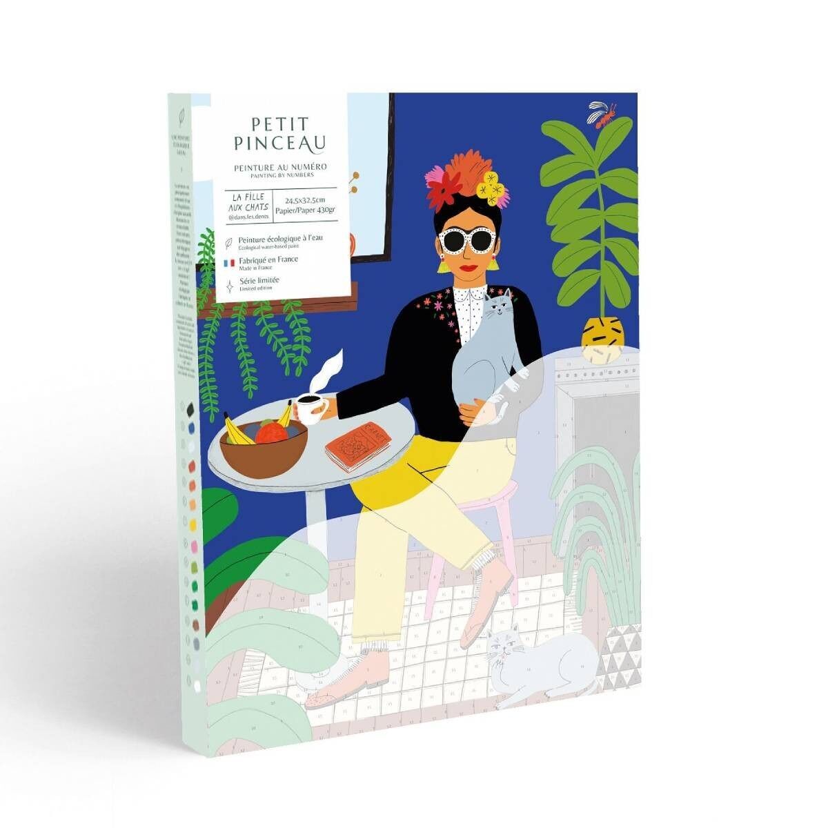 Malen-nach-Zahlen-Kasten – Das Katzenmädchen von Guillaume Denaudhome