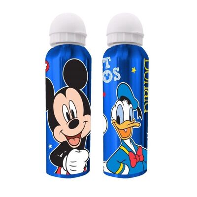Metal Water Bottle Mickey and Donald 500ML