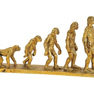 Stand Human Evalution made of poly gold (W / H / D) 33x17x5cm