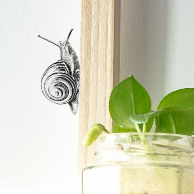 Pegatina de pared de caracol de jardín - ilustración dibujada a mano - arte de pared