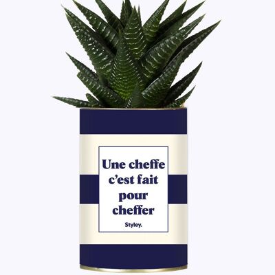 Plante Grasse - a chef is made to be a chef -