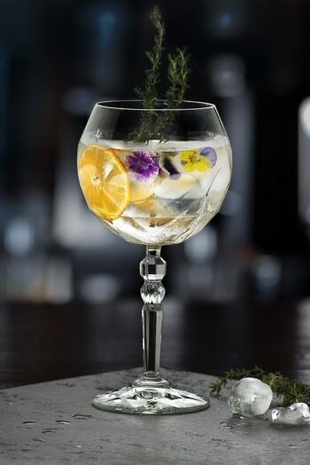 BOL VERRE GIN TONIC 58 CL ALKEMIST 2