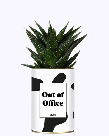 Plante Grasse - Out of Office -