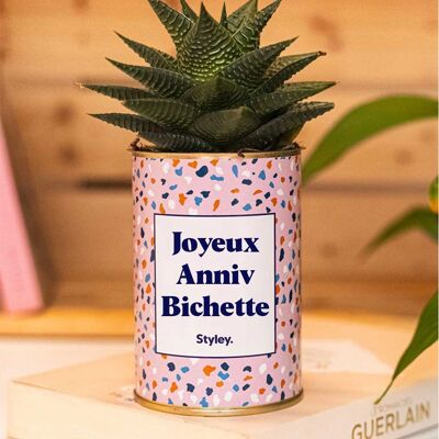 Succulent Plant - Happy Birthday Bichette -