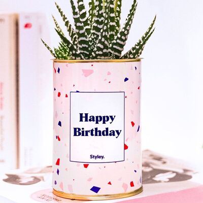 Succulent Plant - Happy Birthday -