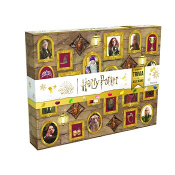 Calendrier de l'Avent Harry Potter Trivia 190g 74834