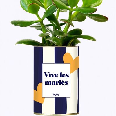Succulent Plant - Long live the bride and groom -