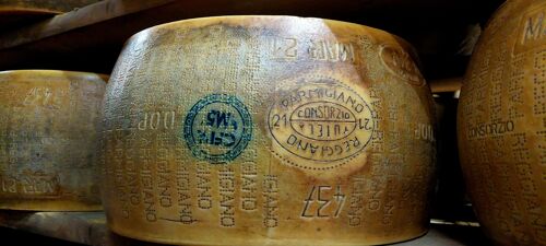 Parmigiano Reggiano DOP - 48 months aged price/kg 1x  Cheese