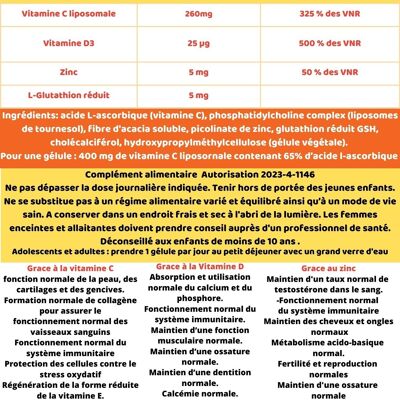 Vitamine C liposomale complexe 60 gélules végétales RKC REKINKE